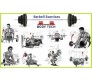 Body Tech 50 Kg Home Gym Combo with 8-in-1 Multi Purpose Bench + 4 Iron Rods Fitness Kit Combo-BT8IN50